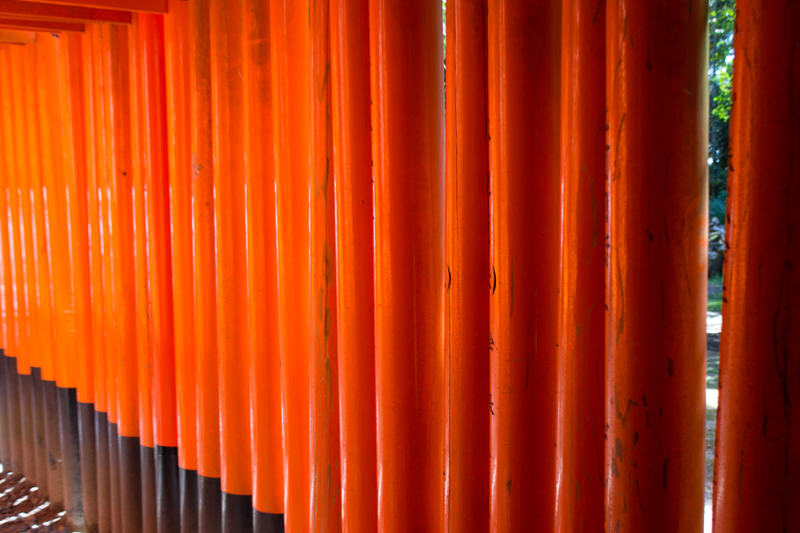 Fushimi-Inari... They weren’t kidding when they said thousands of gates!